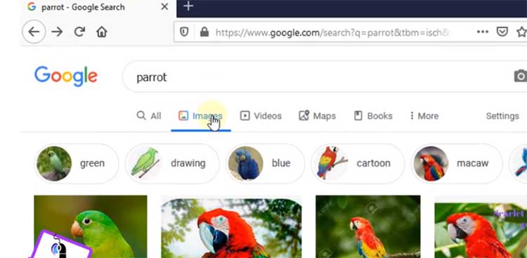 سئو | وردپرس